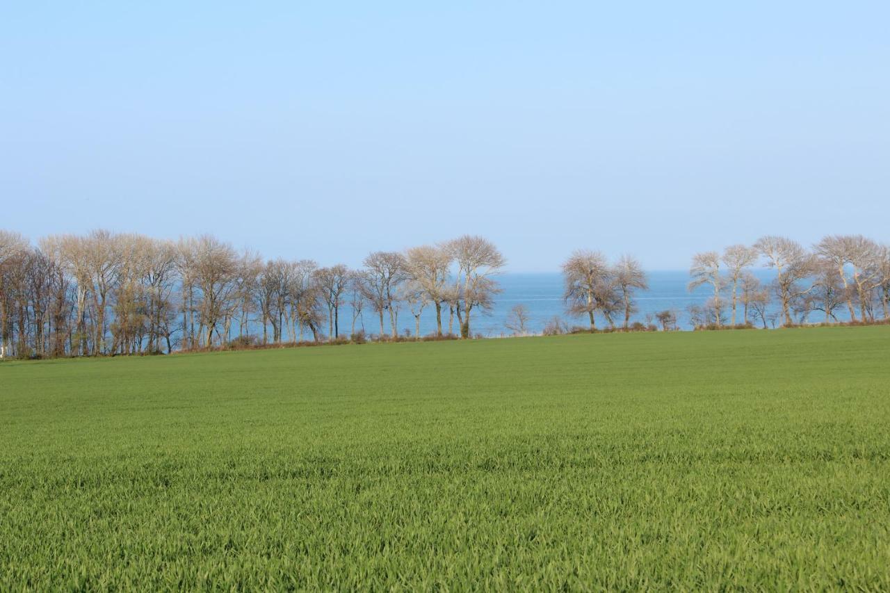 Ferienwohnungen Am Museumshof Fehmarn Exterior photo